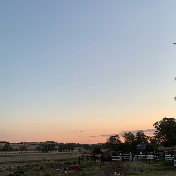 Meet your Posher, Lucy - Picture 1 of 1